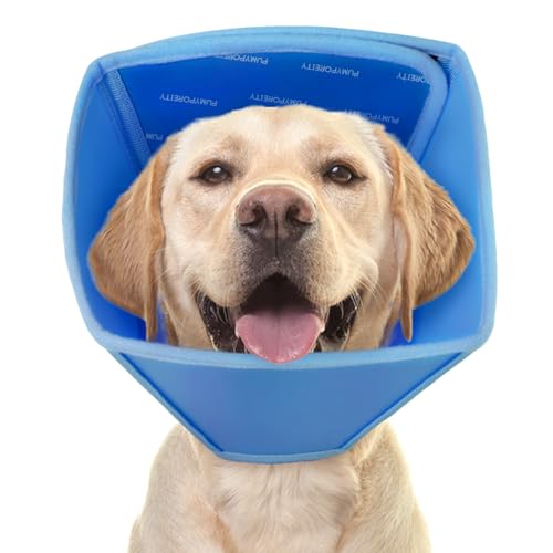 Halskrause Hund Leckschutz, Cone Schutzkragen Hund für Nach Op Katzen Protection Collar Vorbeugung Von Biss-Und Leckwunden Verstellbar Halsband Hund Halskragen Leckschutz(Blau, L) von PUMYPOREITY