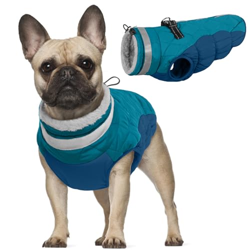 Hundemantel XS, Hundepulli für Kleine Hunde Welpenmantel Hundepullover Hundejacken Winterweste für Kleine Hunde Chihuahua Mantel Warm Hundekleidung für Kaltes Wetter(Dunkelgrün, XS) von PUMYPOREITY
