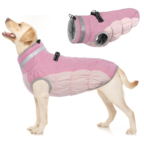 Wasserdichter Hundejacke, Warme Hunde Mantel Winter Hunde Jacke Winddichte Hundekleidung Weste Schneeanzug Hund Bekleidung für Mittelgroße Hunde(Rosa, M) von PUMYPOREITY