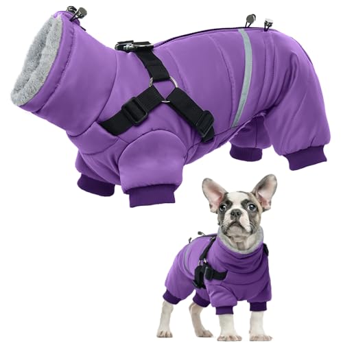 Hundejacke Wasserdichter, Hundemantel Warme mit 4-Beinen Hundeleinenloch für Kleine Mittelgroßer Hunde Winter Winddicht Hundekleidung Overall Welpenmantel Schneeanzug mit Reißverschluss(Lila, M) von PUMYPOREITY