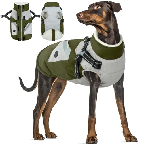 Hundejacke mit Geschirr, Hunde Winterjacke Gefütterte mit Leine Hundekleidung für Mittelgroße Hunde gegen Kälte Wind Winter Wasser- und Winddicht Hundeweste Welpenjacke(Armeegrün, L) von PUMYPOREITY