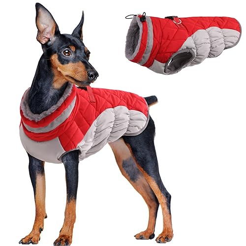 Hundejacke Wasserdicht, Hundemantel Fleece Gefüttert Warme Hundeweste Winterjacke Hunde Bekleidung Warme Mäntel mit Reflexstreifen für Winter Herbst(Rot, S) von PUMYPOREITY