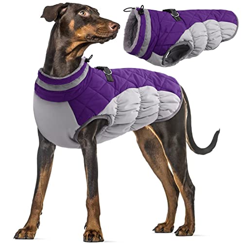 Hundemantel Winter, Warm Kleidung Welpen Jacke Weste Hund Winddicht Winter Daunenjacke Reflektierender mit Reißverschluss für Hunde(Lila, 3XL) von PUMYPOREITY