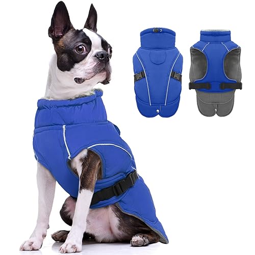 Hundemantel Winter, wasserdichte Welpen Warme Jacke Weste Reflektierende Hundejacke Fleece Gefüttert Wintermantel mit Fleecekragen Winter Hundekleidung(Blau, S) von PUMYPOREITY