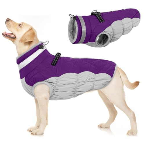 Mantel Hund Wasserdicht, Hundejacke Winterweste Hundepullover Fleece Hundejacke mit Leine Loch Hundemantel Reißverschluss(Lila, L) von PUMYPOREITY