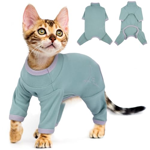 Kitten Wintermantel, Katzenpullover Winter Kitten Kleidung Katzenmantel Warm Katzenbody Nach Op Katzenbekleidung für Katzen(Bohnen grün, XS) von PUMYPOREITY