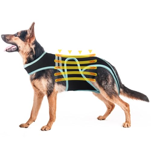 PUMYPOREITY Hunde-Rückenstützgeschirr, Verstellbare Rückenstütze für Arthritis Bei Hunden, Haustier-Rückenbandage für IVDD, Chirurgische Wiederherstellung der Wirbelsäule, Bandscheibenvorfall(3XL) PUMYPOREITY Hunde-Rückenstützgeschirr, Verstellbare Rückenstütze für Arthritis Bei Hunden, Haustier-Rückenbandage für IVDD, Chirurgische Wiederherstellung der Wirbelsäule, Bandscheibenvorfall(3XL) von PUMYPOREITY