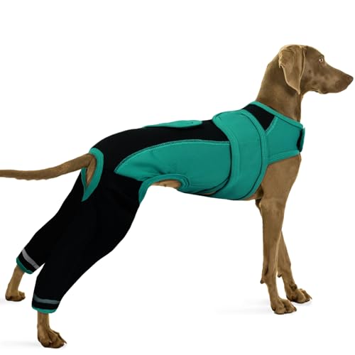 PUMYPOREITY Leckschutz Hund Hinterbein, Hundebandage Hinterbeine Hunde Op Body Hündin Läufigkeit Ellbogenschutz Hinterbeine Ellenbogenbandage Leckschutz(Grün, XL) von PUMYPOREITY