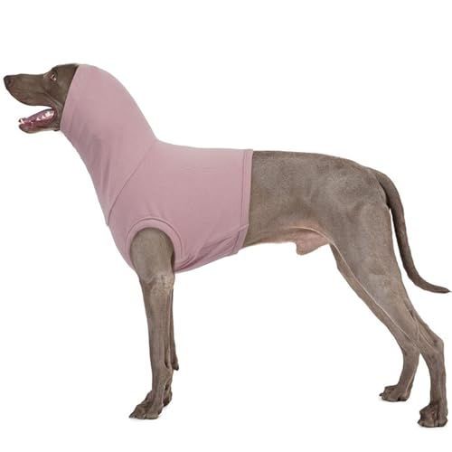 PUMYPOREITY Op Body Hund Hals, Erholungsanzug Hund Wundschutzanzug Hund Ohren Op Anzug Hund Kapuzenpullover Head Cover für Hund Schulter Bandage Hunter Hundepullover(Lila, 3XL) von PUMYPOREITY