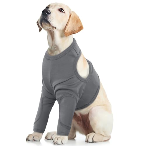 Vorderbein Ärmel für Hunde, Leckschutz Hund Vorderbein Single Front Leg Recovery Sleeve Hund Vorderbeinschoner Ellenbogenbandage Protector für Hot Spots Wunden Bandagen(Grau, L) von PUMYPOREITY