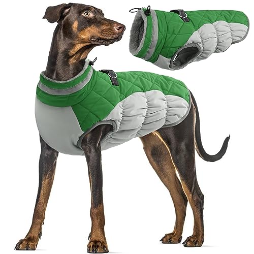 Wasserdichter Hundejacke, Warme Hunde Mantel Winter Hunde Jacke Winddichte Hundekleidung Weste Schneeanzug Hund Bekleidung für Kleine Mittlere Große Hunde(Grün, 3XL) von PUMYPOREITY