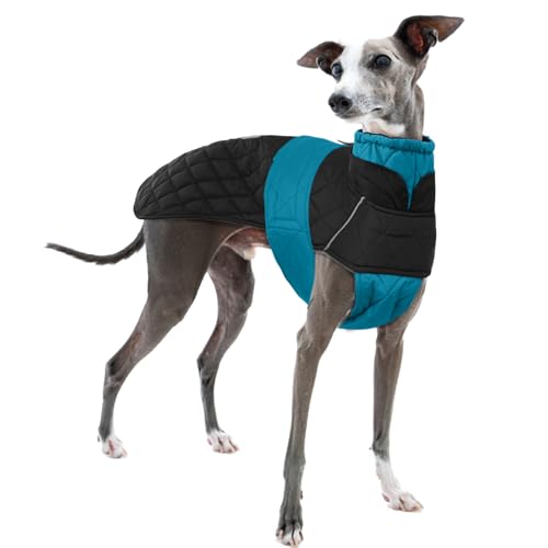 Whippet Winterjacke, Whippet-Mantel Fleece Wasserdicht Whippet jacken Whippet Winter Outfit Warm Whippet Hundeweste Whippet Winter Hundekleidung(Armeegrün, S) von PUMYPOREITY