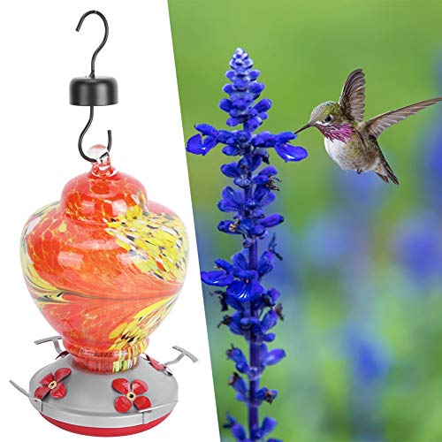 PUNELE Glasvogelwasserfuttermittel, Farbenfrohe Feeder, Attraktive Gartendekoration mit Hängendem Haken, Ruhender Barsch und -sicherer Basis, Leicht zu Montieren, zu Füllen und (G) von PUNELE
