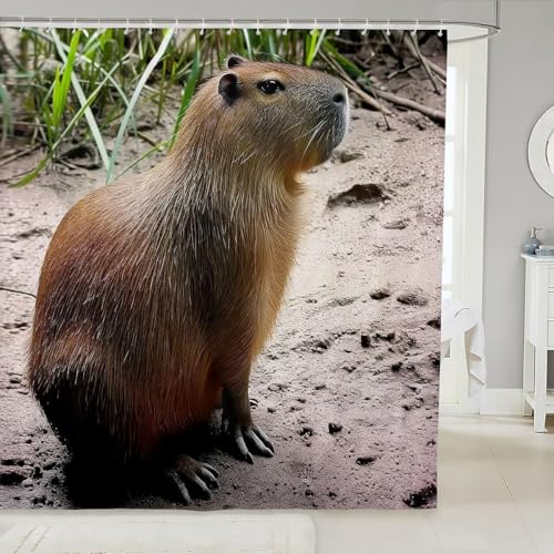PUOJIEAT Duschvorhang 100x200 Capybara, Duschvorhang Anti-schimmel Niedliche Tiere 3D Duschvorhänge Waschbar für Badezimmer Badewannen mit 8 Ringe 7959-FG PUOJIEAT Duschvorhang 100x200 Capybara, Duschvorhang Anti-schimmel Niedliche Tiere 3D Duschvorhänge Waschbar für Badezimmer Badewannen mit 8 Ringe 7959-FG von PUOJIEAT