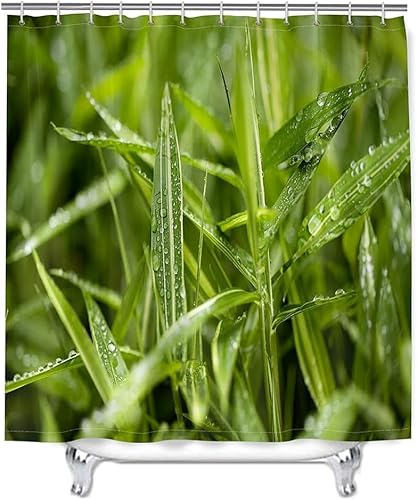 PUOJIEAT Duschvorhang 100x200 Grünpflanzen, Duschvorhang Anti-schimmel Grünes Gras 3D Duschvorhänge Waschbar für Badezimmer Badewannen mit 8 Ringe 8049-FG PUOJIEAT Duschvorhang 100x200 Grünpflanzen, Duschvorhang Anti-schimmel Grünes Gras 3D Duschvorhänge Waschbar für Badezimmer Badewannen mit 8 Ringe 8049-FG von PUOJIEAT