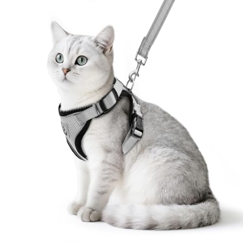 PUPTECK Katzengeschirr und Leine Set Flucht Beweis Reflektierende Katze Walking Geschirr Einstellbare weiche atmungsaktive Mesh-Weste für kleine Haustiere, Grau, M PUPTECK Katzengeschirr und Leine Set Flucht Beweis Reflektierende Katze Walking Geschirr Einstellbare weiche atmungsaktive Mesh-Weste für kleine Haustiere, Grau, M von PUPTECK