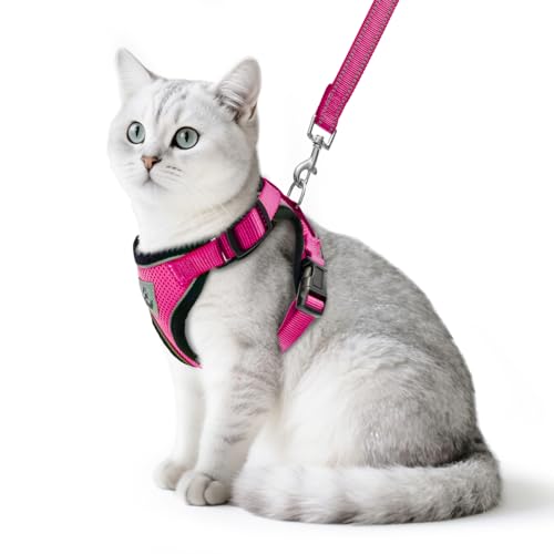PUPTECK Katzengeschirr und Leine Set Flucht Beweis Reflektierende Katze Walking Geschirr Einstellbare weiche atmungsaktive Mesh-Weste für kleine Haustiere, Tiefes Rosa, M PUPTECK Katzengeschirr und Leine Set Flucht Beweis Reflektierende Katze Walking Geschirr Einstellbare weiche atmungsaktive Mesh-Weste für kleine Haustiere, Tiefes Rosa, M von PUPTECK