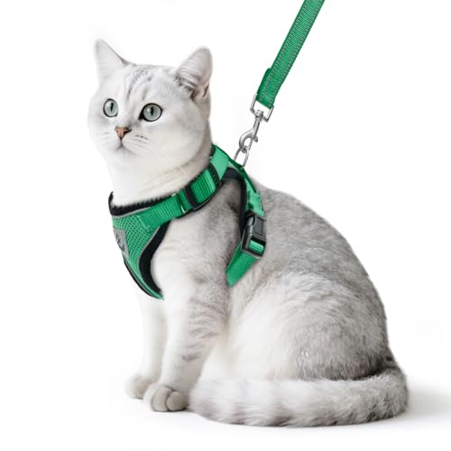 PUPTECK Katzengeschirr und Leine Set Flucht Beweis Reflektierende Katze Walking Geschirr Einstellbare weiche atmungsaktive Mesh-Weste für kleine Haustiere, dunkelgrün, S PUPTECK Katzengeschirr und Leine Set Flucht Beweis Reflektierende Katze Walking Geschirr Einstellbare weiche atmungsaktive Mesh-Weste für kleine Haustiere, dunkelgrün, S von PUPTECK