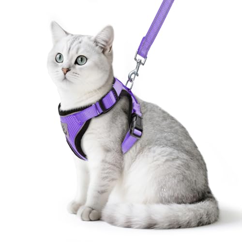 PUPTECK Katzengeschirr und Leine Set Flucht Beweis Reflektierende Katze Walking Geschirr Einstellbare weiche atmungsaktive Mesh-Weste für kleine Haustiere, lila, S PUPTECK Katzengeschirr und Leine Set Flucht Beweis Reflektierende Katze Walking Geschirr Einstellbare weiche atmungsaktive Mesh-Weste für kleine Haustiere, lila, S von PUPTECK