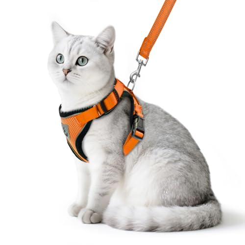 PUPTECK Katzengeschirr und Leine Set Flucht Beweis reflektierende Katze Walking Geschirr einstellbar weiche atmungsaktive Mesh-Weste für kleine Haustiere, Orange, M von PUPTECK