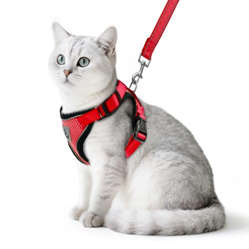 PUPTECK Katzengeschirr und Leine Set Flucht Beweis reflektierende Katze Walking Geschirr einstellbar weiche atmungsaktive Mesh-Weste für kleine Haustiere, rot, M PUPTECK Katzengeschirr und Leine Set Flucht Beweis reflektierende Katze Walking Geschirr einstellbar weiche atmungsaktive Mesh-Weste für kleine Haustiere, rot, M von PUPTECK