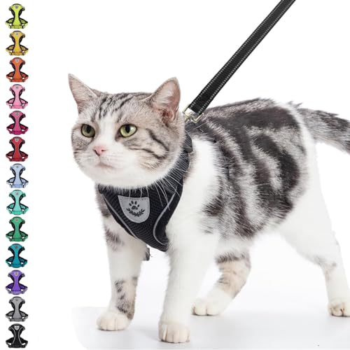 PUPTECK Katzengeschirr und Leine Set Fluchtbest?ndiges, reflektierendes Katzengeschirr Einstellbare, weiche, atmungsaktive Netzweste f¨¹r kleine Haustiere, Schwarz, S von PUPTECK