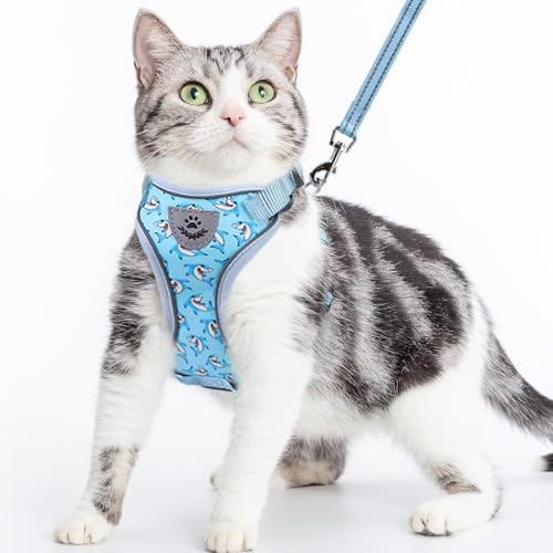 PUPTECK Katzengeschirr und Leine Set Fluchtbeweis Reflektierendes Katzengeschirr Einstellbare Weiche Atmungsaktive Netzweste f¨¹r kleine Haustiere, Blau Haie, M von PUPTECK