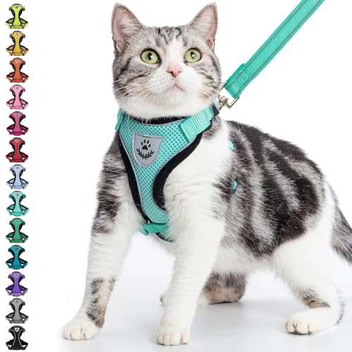 PUPTECK Katzengeschirr und Leine Set Fluchtbeweis Reflektierendes Katzengeschirr Einstellbare weiche atmungsaktive Netzweste f¨¹r kleine Haustiere, Aquamarin, M von PUPTECK