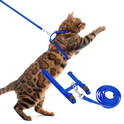 PUPTECK Verstellbares Katzengeschirr mit Leinen-Set – Ausbruchsicheres Kitten-Gurtgeschirr für Spaziergänge & Reisen, Blau von PUPTECK