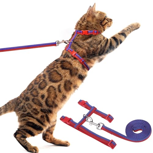 PUPTECK Verstellbares Katzengeschirr mit Leinen-Set - Ausbruchsicheres Kitten-Gurtgeschirr für Spaziergänge und Reisen, Rot-Blau von PUPTECK