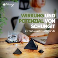Original Schungit Pyramide Aus Russland | Karelien | Poliert Shungite Pyramid Shungit Mit Zertifikat Original Schungit Pyramide Aus Russland | Karelien | Poliert Shungite Pyramid Shungit Mit Zertifikat von PURAJA