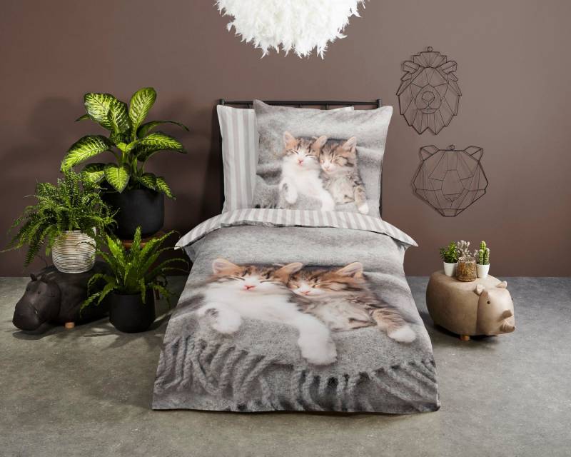 PURE luxury collection Kinderbettwäsche Snooze, Microfaser, 2 teilig, Mikrofaser, 135x200, Pflegeleicht, Reißverschluss, Wende, Kind, Katze von PURE luxury collection