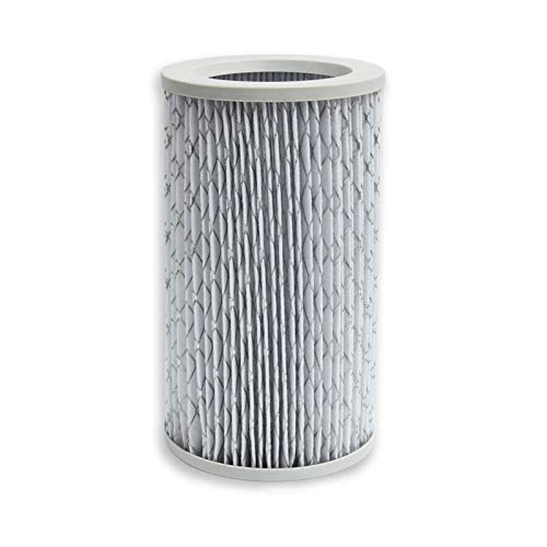 PUREBURG Ersatz-HEPA-Filter, kompatibel mit Molekule-Luftreiniger, hocheffiziente Luftreinigung, 1 Stück von PUREBURG