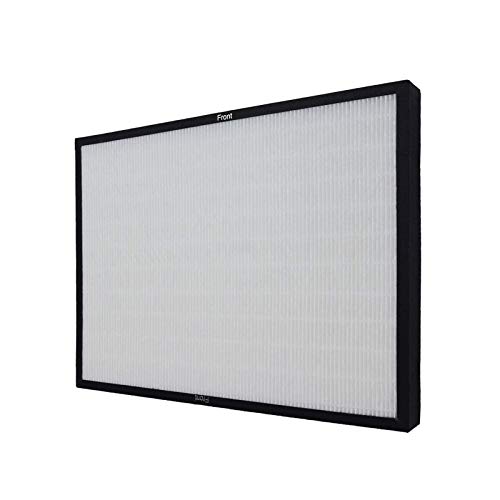 PUREBURG Ersatz-HEPA-Filter, kompatibel mit Rabbitair BioGS BioGP SPA-421A SPA-582A Luftreinigern, H13 Air Clean Staub PM2.5 Geruch Rauch VOCs Home Pet Hair Kitchen von PUREBURG