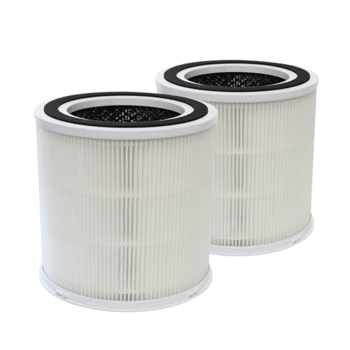 PUREBURG ErsatzFilter kompatibel mit FRESHDEW AP301 AP302 & Dayette AP301 & JOWSET AP301 AP302 AP303 Luftreinigern, 2er-Pack H13 von PUREBURG