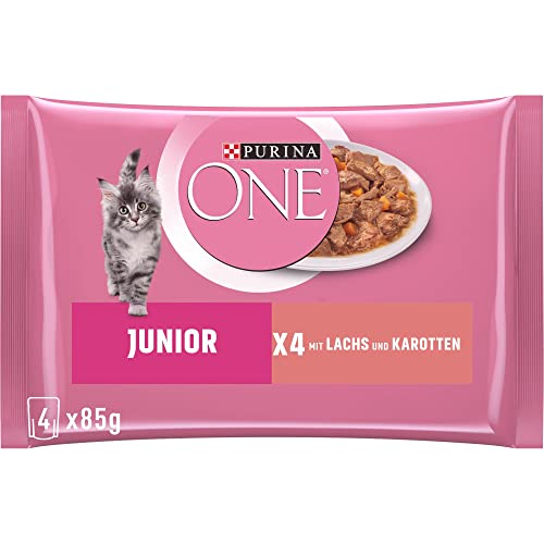 PURINA ONE Junior Kittenfutter nass, zarte Stückchen in Sauce mit Lachs & Karotten, 12er Pack (12 x 4 à 85g) von Purina ONE