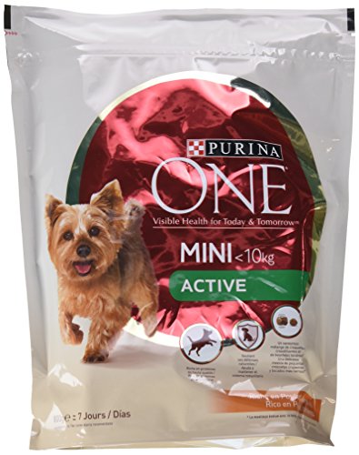 PURINA ONE Mini Active Hundefutter für Erwachsene, Huhn und Reis, 8 x 800 g PURINA ONE Mini Active Hundefutter für Erwachsene, Huhn und Reis, 8 x 800 g von PURINA ONE