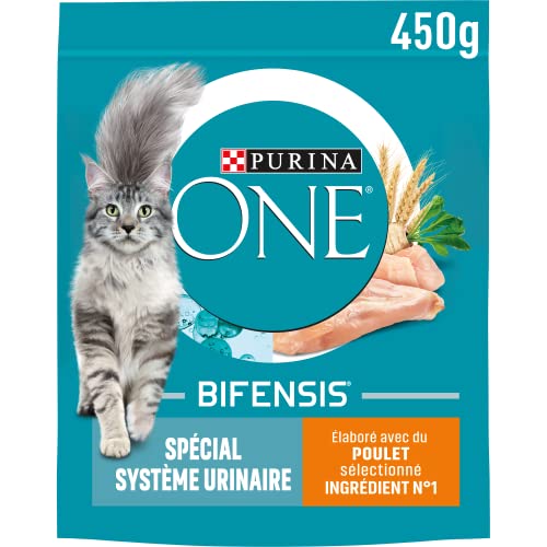 PURINA ONE Urinary Care Croquettes für Erwachsene, 450 g von PURINA ONE