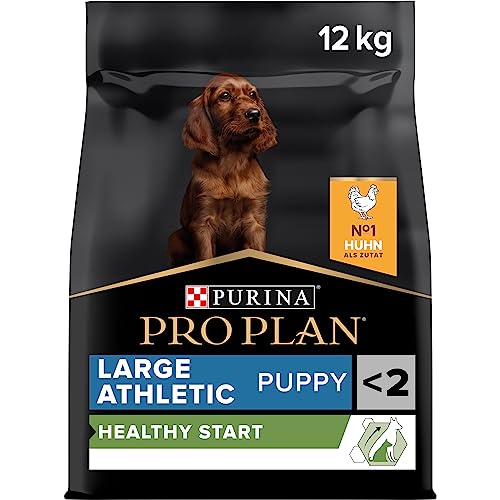 Pro Plan Large Athletic Puppy Healthy Start, Welpenfutter trocken, reich an Huhn, 1er Pack (1 x 12 kg) von PURINA PRO PLAN
