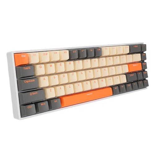 PUSOKEI 60-Prozent-Tastatur, Mechanische Tastatur mit 68 Tasten und RGB-Mehrfachbeleuchtungsmodus, USB-C-Kabelverbindung, Gaming-Tastatur für Computer mit USB-Anschluss, Roter Schaft von PUSOKEI
