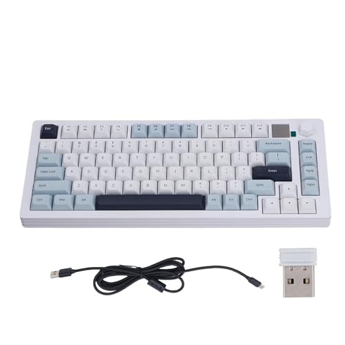 PUSOKEI 75% Drahtlose Mechanische Gaming -Tastatur, Farbenfrohe Multimedia -Bildschirm RGB RGB Backbeleuchtung Heiße Swappbare Vorgeschmierte Lineare Schalter Dichtungsstruktur mit (Blue) von PUSOKEI