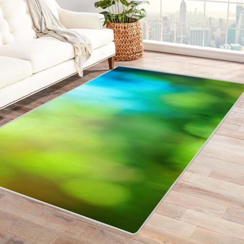 PUSRDEO Moderne Abstrakte Teppich Kollektion Neblig Flauschig Perfekt Für Esszimmer Flur Balkon Mit Und Einfacher Reinigung(grün)-90x150cm von PUSRDEO