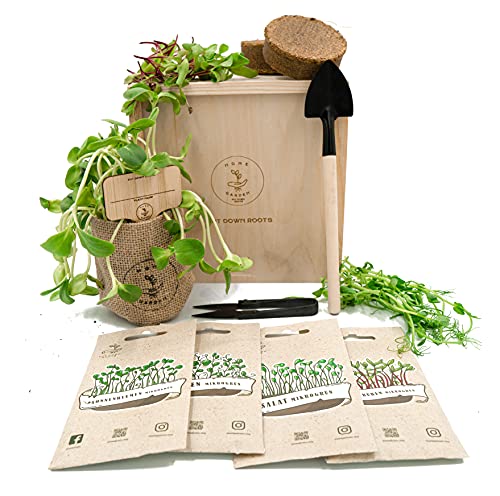 PUT DOWN ROOTS MIKROGRÜN ANZUCHTSET 4 Pflanzen Samen-Garten Starter-Set öko Saatgut mit Holzkiste mit Deckel, Mini gewächshaus, kinderküche zubehör Kinder Anzuchtset von PUT DOWN ROOTS
