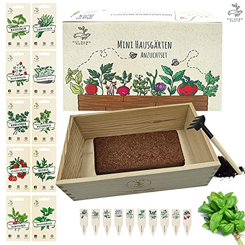 MINI HAUSGÄRTEN ANZUCHTSET mit Holzkiste und 10 Pflanzen Samen: Kinder Anzuchtset Pflanzen mit Gemüse Samen, Walderdbeere Samen und Kräuter Samen –Mini Gewächshaus und Mini Garten Starter Kit von PUT DOWN ROOTS