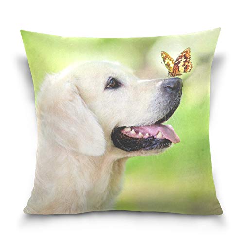 PUXUQU Kissenbezug 40x40 cm Golden Retriever Hund mit Schmetterling Dekorative quadratische Kissenbezüge Kissenhülle für Couch Sofa Schlafzimmer Auto von PUXUQU