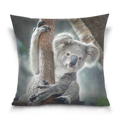 PUXUQU Kissenbezug 40x40 cm Jahrgang Koala Bär Dekorative quadratische Kissenbezüge Kissenhülle für Couch Sofa Schlafzimmer Auto von PUXUQU