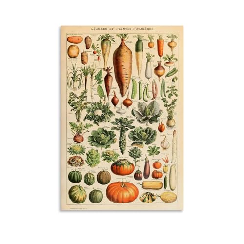 Vintage-Poster, ästhetisches Obst und Gemüse, Leinwandposter, Wandkunst, Dekoration, Wohnzimmer, Schlafzimmer, Dekoration, Poster, 40 x 60 cm, ungerahmter Stil Vintage-Poster, ästhetisches Obst und Gemüse, Leinwandposter, Wandkunst, Dekoration, Wohnzimmer, Schlafzimmer, Dekoration, Poster, 40 x 60 cm, ungerahmter Stil von PUYT