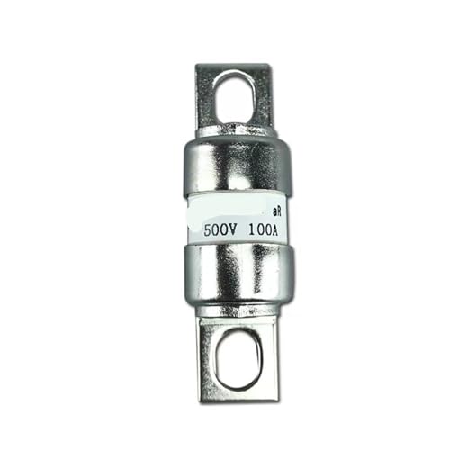 2 Stücke Keramiksicherung RGS11 CR2L GSB 10A 16A 20A 25A 30A 32A 35A 40A 50A 63A 75A 80A 100A 125A 150A 160A 250 V/500 V(63A,RGS11_250V) von PVTLCYBI