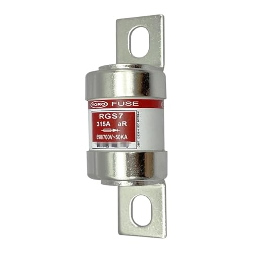 Schnelle Sicherung RGS7 RGS19 700 V/690 V/660 V 30 A 100 A 125 A 150 A 250 A 300 A 310 A 350 A 400 A(250A,690V) von PVTLCYBI