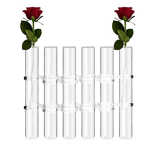 Aufklappbare Blumenvase, durchsichtige aufklappbare Vasen für Blumen, Set mit 6/8 Stück Reagenzgläsern, Blumenvasen, Blumenvasen, Reagenzglas, aufklappbares Pflanzenvasen-Display-Set, Heimtisch-Blumen von PW TOOLS